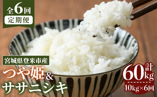 ＜先行予約！2025年10月から発送開始予定＞≪令和7年産≫【6回定期便】ササニシキ・つや姫 計60kg (各5kg×6回配送) 登米市産 お米 おこめ 米 コメ 白米 ご飯 ごはん おにぎり お弁当 6か月 頒布会【登米ライスサービス株式会社】tm462 692571 - 宮城県登米市