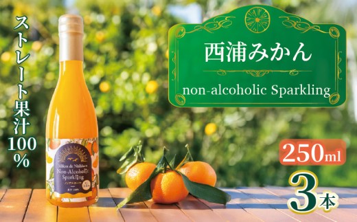 西浦 みかん スパークリング ジュース ストレート 果汁 100％ 250ml×3本 蜜柑 飲み物 ミカン 人気 贈答用 静岡 沼津 1235772 - 静岡県沼津市