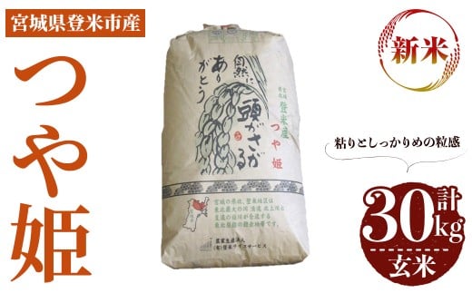 ＜先行予約！2025年10月以降順次発送予定＞≪令和7年産 新米≫ つや姫 玄米 30kg 登米市産 お米 おこめ 米 コメ ご飯 ごはん おにぎり お弁当 【登米ライスサービス株式会社】tm143 690877 - 宮城県登米市
