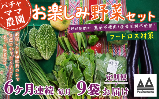 【 訳あり 】【 6ヶ月連続お届け 】 お楽しみ野菜セット （ 9袋 ）【 フードロス対策 】【 野菜 詰め合わせ お任せ 訳あり フードロス 季節物 セット 山芋 パセリ かぶ 人参 里芋 たまねぎ 玉ねぎ ルッコラ ほうれん草 春菊 大根 芽キャベツ レタス じゃがいも さつまいも とうもろこし そら豆 枝豆 パクチー ビーツ ほうれん草 キャベツ ピーマン なすトマト かぼちゃ 】 
