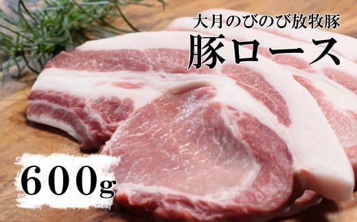 大月のびのび放牧豚【カツ・ステーキ用ロース】600g以上 (約150g×4)   豚肉 豚 ポーク ばら肉 小分け お肉 肉 山梨 やまなし 富士川町 2298663 - 山梨県富士川町