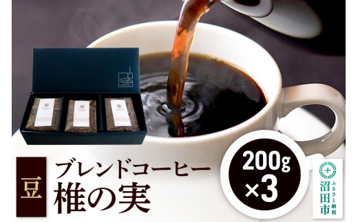 ブレンドコーヒー 豆「椎の実」200g×3袋 土田商店 2229786 - 群馬県沼田市