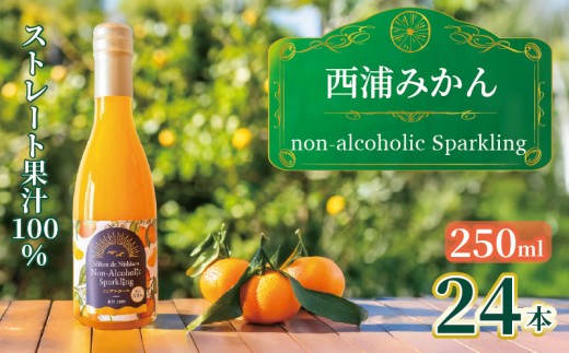 西浦 みかん スパークリング ジュース ストレート 果汁 100％ 250ml×24本 蜜柑 飲み物 ミカン 人気 贈答用 静岡 沼津