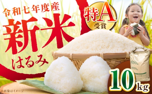 【令和7年産】【特Aランク受賞実績あり！】はるみ 10kg【井上農園】 米 お米 精米 白米 はるみ [BDBB003] 2229074 - 神奈川県開成町
