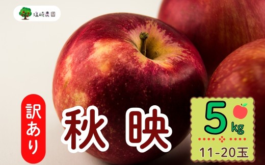 【先行予約】【訳あり】秋映（あきばえ）【約5kg(11〜20玉)】 規格外 (7-A26-2) 2113421 - 長野県飯山市