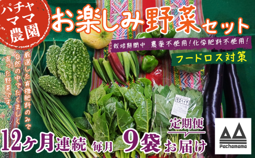 【 訳あり 】【 12ヶ月連続お届け 】 お楽しみ野菜セット （ 9袋 ）【 フードロス対策 】【 野菜 詰め合わせ お任せ 訳あり フードロス 季節物 セット 山芋 パセリ かぶ 人参 里芋 たまねぎ 玉ねぎ ルッコラ ほうれん草 春菊 大根 芽キャベツ レタス じゃがいも さつまいも とうもろこし そら豆 枝豆 パクチー ビーツ ほうれん草 キャベツ ピーマン なすトマト かぼちゃ 】 
