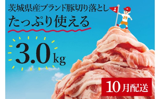 [10月発送][数量限定]リピーター続出!茨城県産ブランド豚切り落とし3kg (300g×10p)[肉 豚肉 切り落とし 小分け 真空 真空パック 茨城県産 肉料理 肩ロース ウデ モモ バラ 水戸市 水戸](EC-101-10)