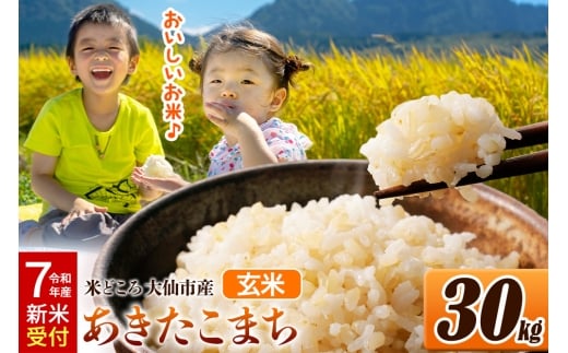 ＜令和7年産 新米受付＞米【玄米】米どころ秋田県大仙市産 あきたこまち 30kg（30kg×1袋）