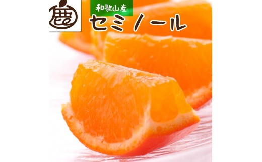 ［先行予約］厳選 セミノールオレンジ10kg+250g（傷み補償分）［春みかん］［有田産］［光センサー食べ頃出荷］［IKE154］