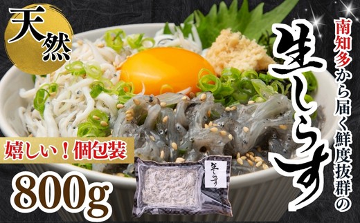 生しらす(お刺身) 約800ｇ(100ｇ×8個) 岬だより