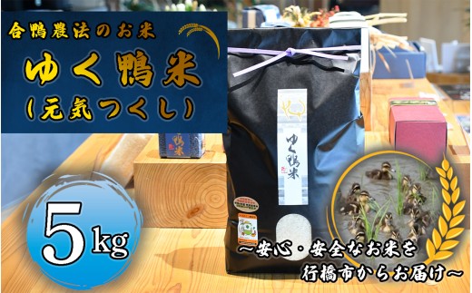 CB-005_合鴨農法のお米「ゆく鴨米」(元気つくし)5kg~安心・安全なお米を行橋市からお届け 2246157 - 福岡県行橋市