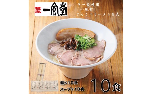 AB438.一風堂白丸ラー麦麺セット・10食【豚骨ラーメン】