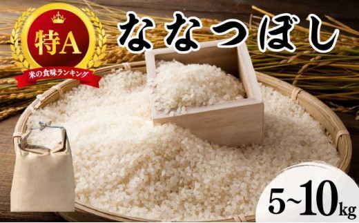 ＜選べる容量＞令和7年産 北海道 ななつぼし 新米 5kg or 10kg 精米 特A 白米 お米 米 道産米 ブランド米 ご飯 もちもち 産地直送 農園直送 人気 お取り寄せ 贈り物 備蓄 栗橋農園 送料無料