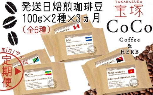 【宝塚】miniｻｲｽﾞ3ヶ月定期便C（当日自家焙煎珈琲6種 計600g）【豆】 2239398 - 兵庫県宝塚市