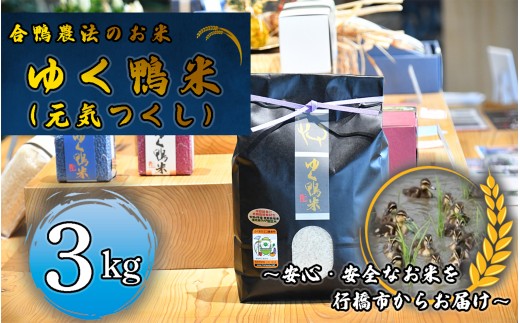 CB-007_合鴨農法のお米「ゆく鴨米」(元気つくし)3kg~安心・安全なお米を行橋市からお届け 2246155 - 福岡県行橋市