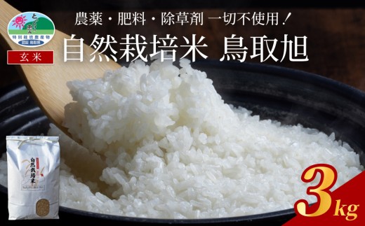 [2025年産 先行予約]自然栽培米 鳥取旭(玄米)3kg|鳥取 岩美 岩美町産 お米 こめ 玄米 無農薬 無肥料[31022]