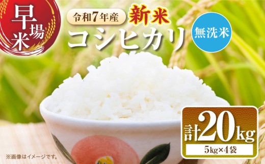 2週間以内に発送 無洗米 令和7年産 新米 コシヒカリ 計20kg 米 期間限定 宮崎県産 お米 ご飯 ライス 国産 人気 食品 精米 白米 こしひかり おにぎり お弁当 炊き込みご飯 雑炊 ギフト 贈り物 お取り寄せ 産地直送 宮崎県 日南市 送料無料_I31-25