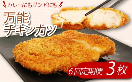【隔月６回定期便】初音のチキンカツ３枚 阿波彩どりカツサンド カレー 鶏肉 骨付き肉 骨付鳥 惣菜 簡単調理 定期便 子どもに人気 冷凍 送料無料