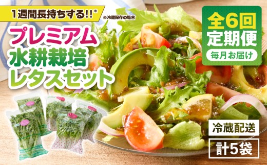 1627-2 【全6回定期便】洗わずに食べられる プレミアム水耕栽培レタスセット（計5袋）　KN064-T02