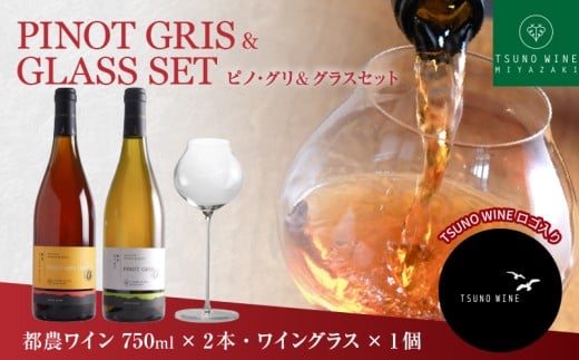 先行予約≪数量限定≫都農ワイン ピノグリ2本&グラスセット 酒 飲料 アルコール 国産 ロナ_T014-021