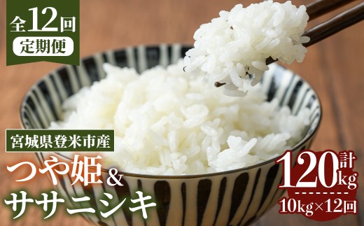 ＜先行予約！2025年10月から発送開始予定＞≪令和7年産≫【12回定期便】ササニシキ・つや姫 計120kg (各5kg×12回配送) 登米市産 お米 おこめ 米 コメ 白米 ご飯 ごはん おにぎり お弁当 12か月 頒布会【登米ライスサービス株式会社】tm171