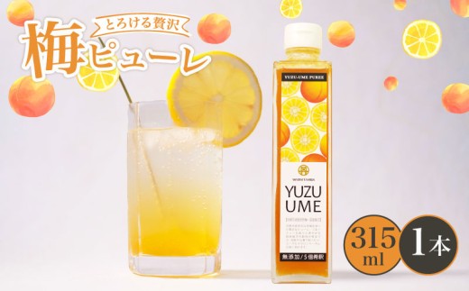梅ピューレYUZUUME 1本 315ml ( 梅ピューレ ジュレ 無添加 フルーツ 果物 梅 完熟梅 うめ 国産 柚子 ゆず 柑橘 ジュース 梅ジュース ピューレ シロップ フルーツシロップ 果肉 常温 炭酸水 炭酸割 人気 おすすめ さわやか 濃厚 瓶 贈り物 ギフト プレゼント ヨーグルト 割材 炭酸割 お酒 焼酎 カクテル 京都府 京都 京丹波町 京丹波 )