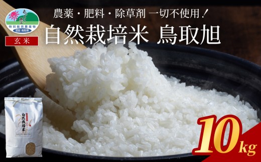 【2025年産 先行予約】自然栽培米 鳥取旭（玄米）5kg×2袋｜鳥取 岩美 岩美町産 お米 こめ 玄米 無農薬 無肥料【31025】
