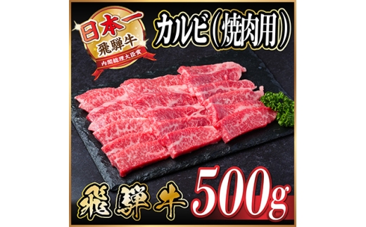 レビューキャンペーン実施中!飛騨牛　厳選カルビ(焼肉・BBQ用)500g　A4～A5等級＜冷凍便＞【1487355】 1302749 - 岐阜県羽島市