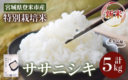 <先行予約!2025年10月以降順次発送予定>≪令和7年産 新米≫ 特別栽培米 ササニシキ 5kg (5kg×1袋) 登米市産 お米 おこめ 米 コメ ささにしき 白米 ご飯 ごはん おにぎり お弁当 【登米ライスサービス株式会社】tm156 1141683 - 宮城県登米市