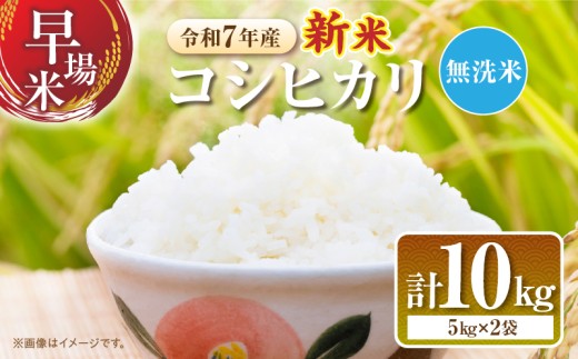 2週間以内に発送 無洗米 令和7年産 新米 コシヒカリ 計10kg 米 期間限定 宮崎県産 お米 ご飯 ライス 国産 人気 食品 精米 白米 こしひかり おにぎり お弁当 炊き込みご飯 雑炊 ギフト 贈り物 お取り寄せ 産地直送 宮崎県 日南市 送料無料_FA12-25