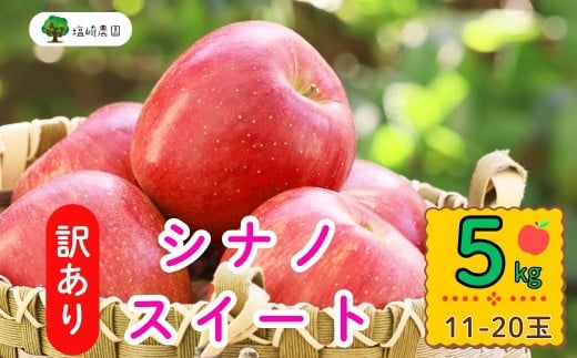 【先行予約】【訳あり】シナノスイート【約5kg(11〜20玉)】規格外(7-A27-2) 2113418 - 長野県飯山市