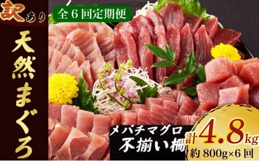 【 6回定期便 】訳あり 天然メバチマグロ 800g  (不揃い柵) メバチマグロ めばちまぐろ めばち メバチ まぐろ マグロ 赤身 鮪 サク 柵 中トロ 天然 天然まぐろ 天然マグロ 刺身 あかみ お刺身 食べ比べ 海鮮丼 丼 魚 さかな 新鮮 高知 室戸 冷凍 小分け 海鮮
