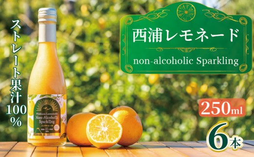 西浦 レモネード スパークリング ジュース ストレート 果汁 100％ 250ml×6本 希少 柑橘 飲み物 かんきつ 人気 贈答用 静岡 沼津