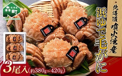【北海道 噴火湾産】 浜ゆで毛がに 3尾入 約380g～420g ＜カネキチ澤田水産＞ かに カニ 蟹 ガニ がに 森町 ふるさと納税 北海道 毛蟹 毛かに 毛ガニ 毛カニ mr1-1068
