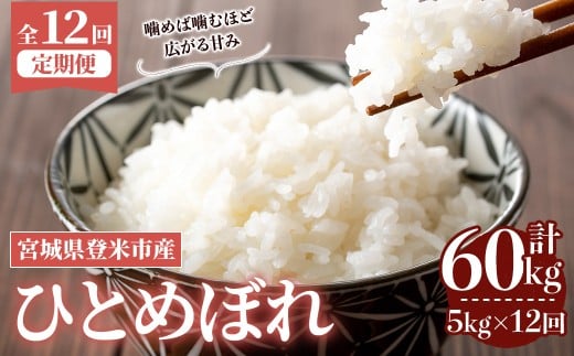 ＜先行予約！2025年10月から発送開始予定＞≪令和7年産≫【12回定期便】ひとめぼれ 計60kg (5kg×12回配送) 登米市産 お米 おこめ 米 コメ 白米 ご飯 ごはん おにぎり お弁当 12か月 頒布会【登米ライスサービス株式会社】tm165 692574 - 宮城県登米市