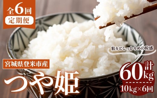 ＜先行予約！2025年10月から発送開始予定＞≪令和7年産≫【6回定期便】つや姫 計60kg (10kg×6回配送) 登米市産 お米 おこめ 米 コメ 白米 ご飯 ごはん おにぎり お弁当 6か月 頒布会【登米ライスサービス株式会社】tm459 690869 - 宮城県登米市