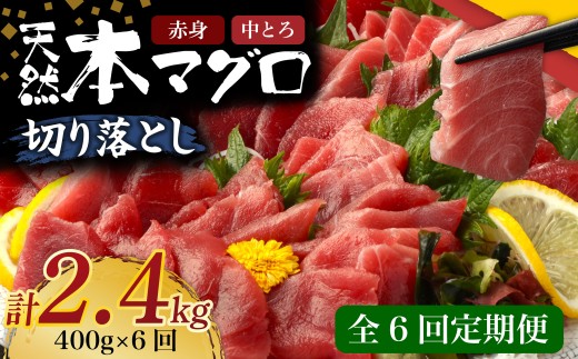 【 6回定期便 】 天然本マグロ 中トロ 赤身 切り落とし 400g 小分け(100g×4パック) 訳あり マグロ 刺身 カルパッチョ まぐろ丼 まぐろ漬け丼 魚 惣菜 海鮮丼 魚介類 食べきりサイズ 父の日 冷凍 不揃い クロマグロ 黒マグロ