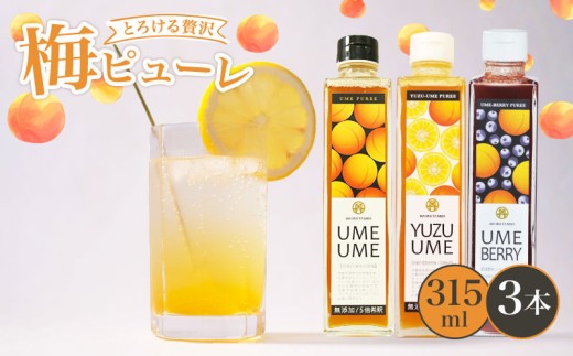梅ピューレ3種詰め合わせ 3本 セット 315ml ( 無添加 フルーツ 果物 梅 完熟梅 うめ 柚子 ゆず ブルーベリー ジュース 梅ジュース ピューレ シロップ フルーツシロップ 果肉 常温 炭酸水 炭酸割 人気 おすすめ さわやか 濃厚 瓶 贈り物 ギフト プレゼント ヨーグルト 割材 炭酸割 お酒 焼酎 カクテル 京都府 京都 京丹波町 京丹波 )