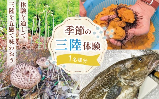 季節の三陸体験 体験チケット (1名様分/1体験) 三陸アクティブ 三陸 大船渡 体験 2260444 - 岩手県大船渡市
