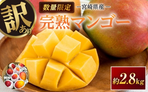 訳あり 宮崎県産 完熟マンゴー 約2.8kg 期間限定 数量限定 フルーツ 果物 くだもの 国産 食品 デザート おやつ フルーツサンド おすすめ ご褒美 贅沢 産地直送 傷 規格外 訳アリ おすそ分け 家庭用 冷蔵 宮崎県 日南市 送料無料_F77-24
