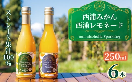 オレンジ ジュース スパークリング ストレート 果汁 100％ 温州 みかん 西浦 レモネード 250ml×6本 飲み比べ セット 希少 柑橘 蜜柑 飲み物 人気 贈答用 静岡 沼津