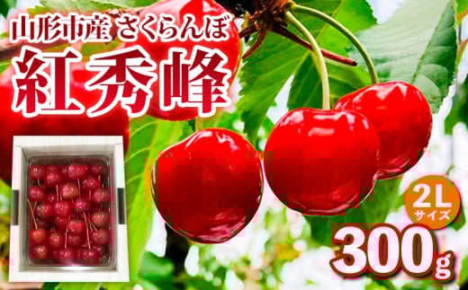 山形市産 さくらんぼ【紅秀峰】2Lサイズ 300g バラ詰め【令和8年産先行予約】FS25-033