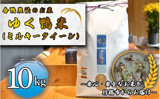 CB-004_合鴨農法のお米「ゆく鴨米」(ミルキークイーン)10kg~安心・安全なお米を行橋市からお届け 2246158 - 福岡県行橋市