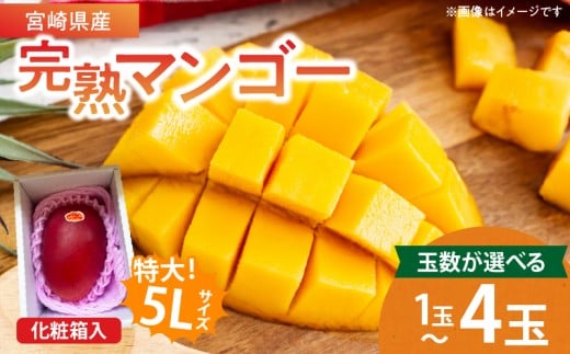 ≪玉数が選べる≫特大5Lサイズ 宮崎県産 完熟マンゴー 化粧箱入り 令和8年発送分 期間限定 数量限定 フルーツ 果物 くだもの 国産 食品 デザート おすすめ ご褒美 贅沢 産地直送 特大 希少 お祝 お土産 プレゼント ギフト 贈り物 宮崎県 日南市 送料無料_S-C107-23