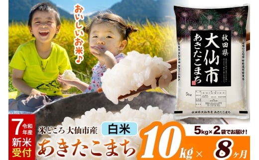 ＜令和7年産 新米受付＞《定期便8ヶ月》米【白米】米どころ秋田県大仙市産 あきたこまち 精米 10kg（5kg×2袋）