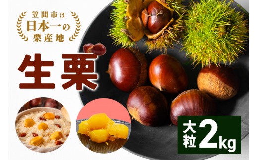 【2025年 秋 出荷】生栗 1kg×2袋 2kg 特大 サイズ 3L 以上 大粒 大きい 数量限定 くり クリ 笠間の栗 栗ごはん カサマロン 国産  先行予約 モンブラン 栗きんとん 冷蔵 笠間市 2185860 - 茨城県笠間市