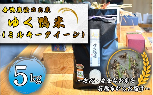 CB-006_合鴨農法のお米「ゆく鴨米」（ミルキークイーン）5ｋｇ～安心･安全なお米を行橋市からお届け 2246156 - 福岡県行橋市