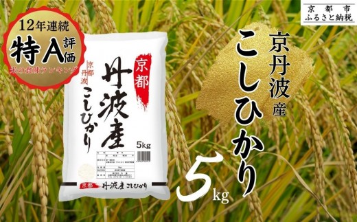 【丸越】京都丹波産こしひかり精米5kg［ 京都 丹波産 こしひかり 精米 令和6年産 特A評価 おいしい 人気 おすすめ 米 コメ お取り寄せ 通販 送料無料 ふるさと納税 ］ 1653446 - 京都府京都市