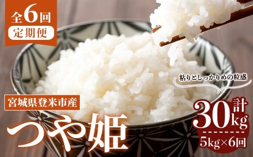 ＜先行予約！2025年10月から発送開始予定＞≪令和7年産≫【6回定期便】つや姫 計30kg (5kg×6回配送) 登米市産 お米 おこめ 米 コメ 白米 ご飯 ごはん おにぎり お弁当 6か月 頒布会【登米ライスサービス株式会社】tm458 692575 - 宮城県登米市