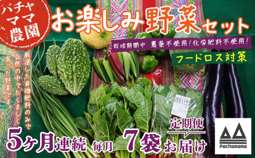 【 訳あり 】【 5ヶ月連続お届け 】 お楽しみ野菜セット （ 7袋 ）【 フードロス対策 】【 野菜 詰め合わせ お任せ 訳あり フードロス 季節物 セット 山芋 パセリ かぶ 人参 里芋 たまねぎ 玉ねぎ ルッコラ ほうれん草 春菊 大根 芽キャベツ レタス じゃがいも さつまいも とうもろこし そら豆 枝豆 パクチー ビーツ ほうれん草 キャベツ ピーマン なすトマト かぼちゃ 】 